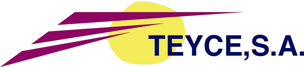 logo-teyce